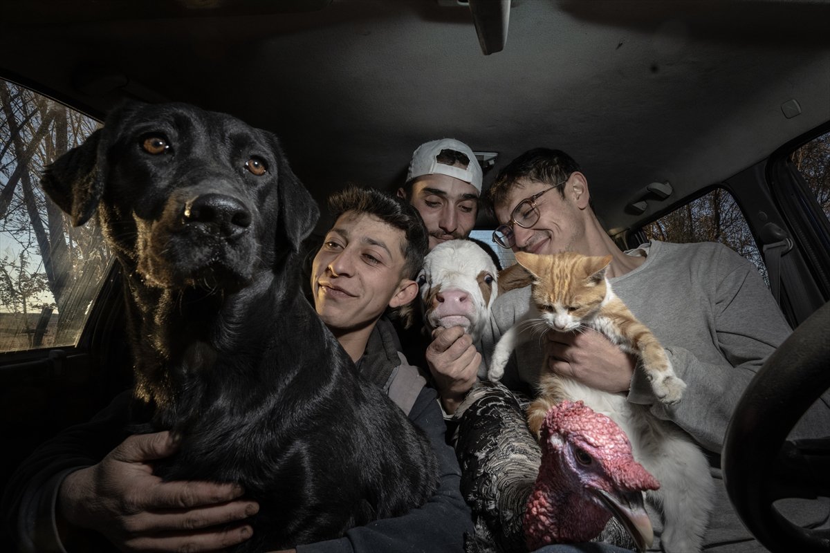 Yılın kareleri: Günlük hayat, doğal yaşam ve çevre