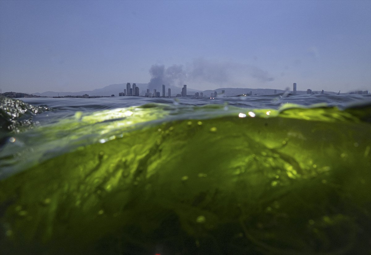 Yılın kareleri: Günlük hayat, doğal yaşam ve çevre