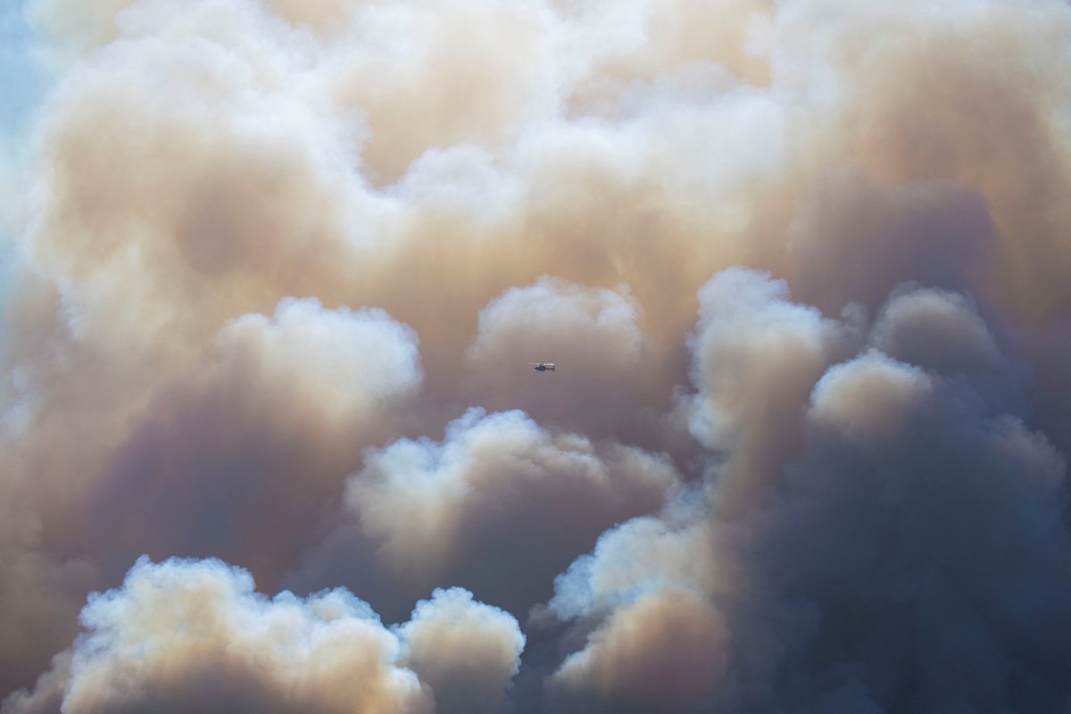 Los Angeles kabusu yaşıyor, yangınlar sönmüyor