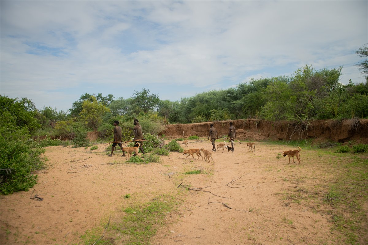 Tanzanyalı kabile ilkel yaşamdan vazgeçmiyor