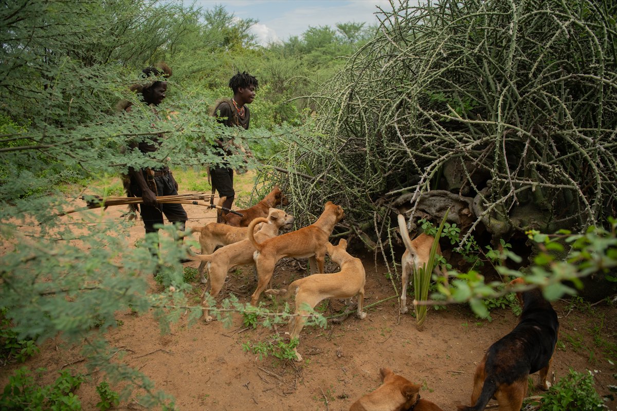 Tanzanyalı kabile ilkel yaşamdan vazgeçmiyor