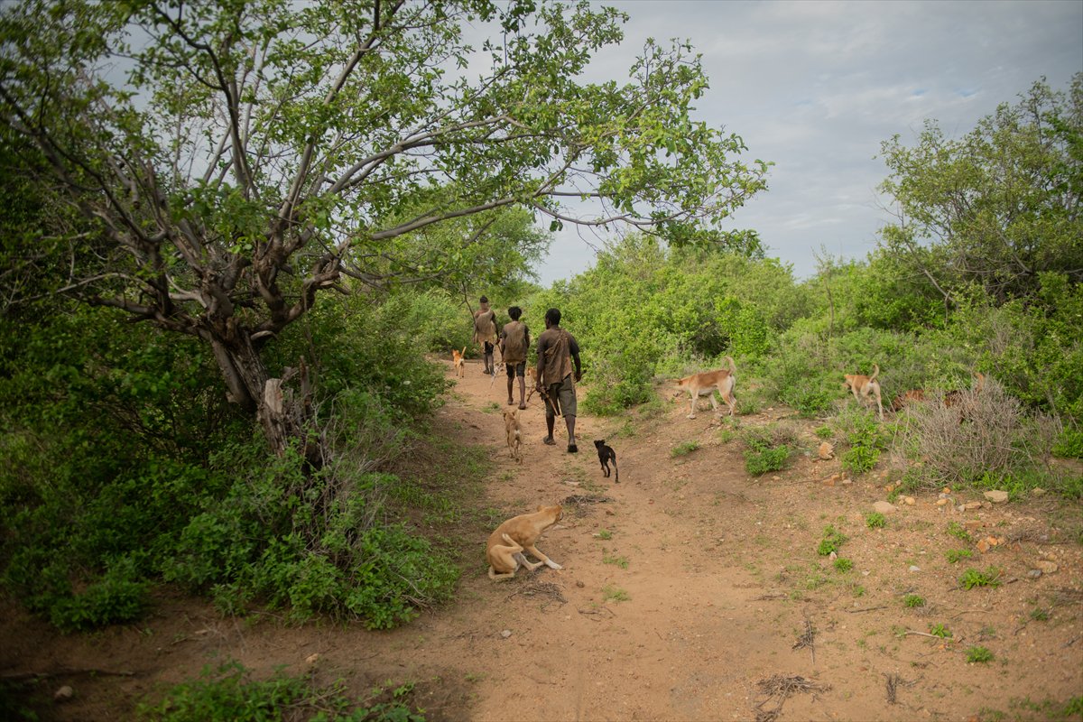 Tanzanyalı kabile ilkel yaşamdan vazgeçmiyor