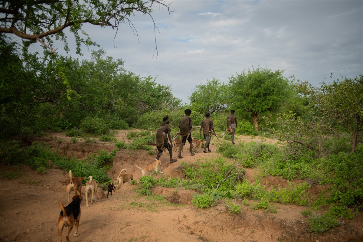 Tanzanyalı kabile ilkel yaşamdan vazgeçmiyor