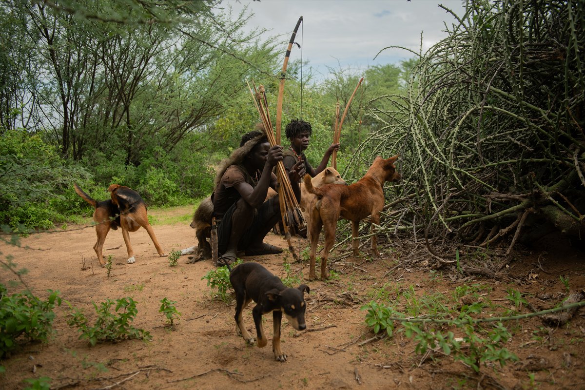 Tanzanyalı kabile ilkel yaşamdan vazgeçmiyor