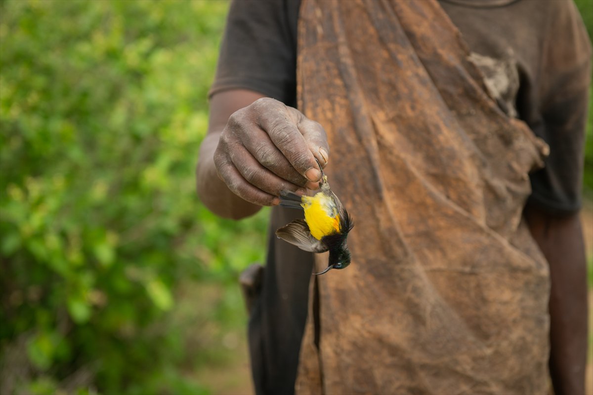 Tanzanyalı kabile ilkel yaşamdan vazgeçmiyor