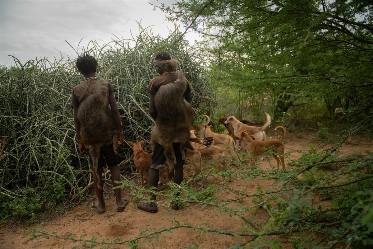 Tanzanyalı kabile ilkel yaşamdan vazgeçmiyor
