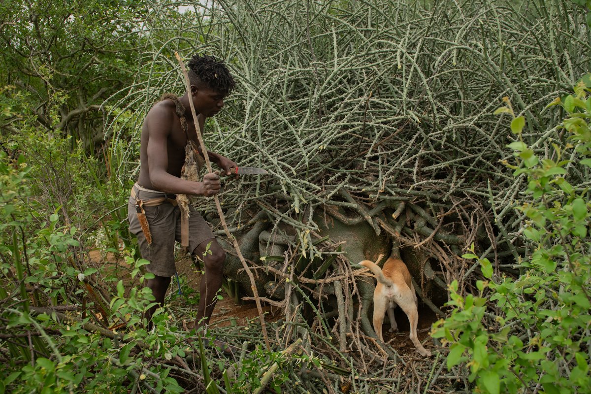 Tanzanyalı kabile ilkel yaşamdan vazgeçmiyor
