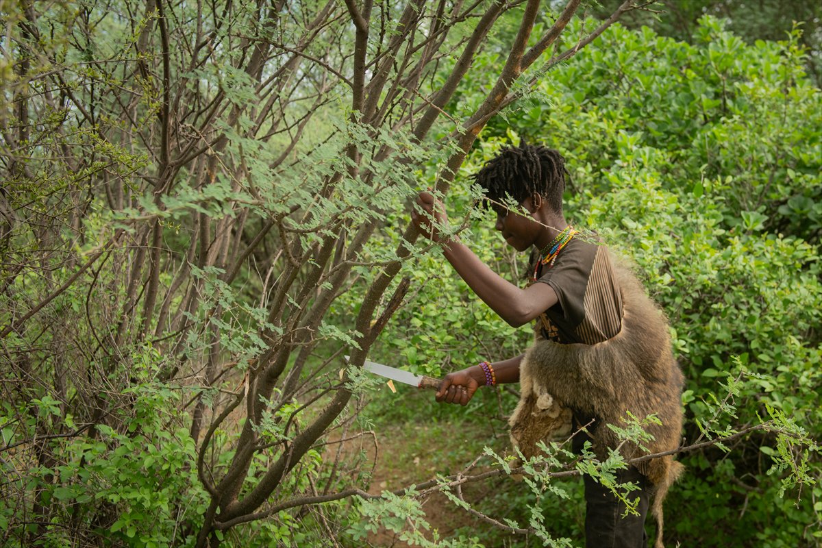 Tanzanyalı kabile ilkel yaşamdan vazgeçmiyor