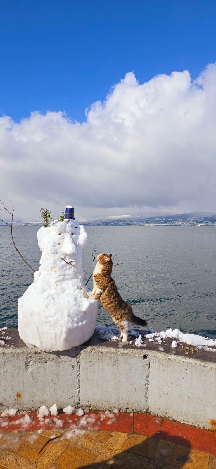 Kocaeli'de kar sonrası sokaklar, açık hava müzesine döndü