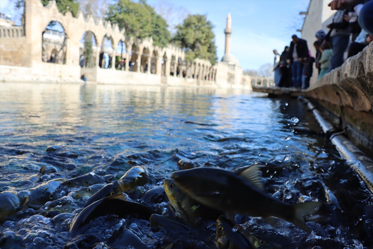 Şanlıurfa Balıklıgöl'de Ramazan