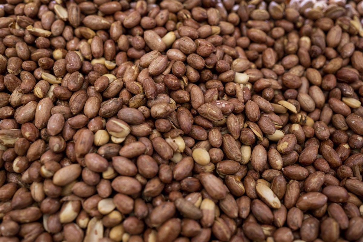 Ramazan’da kuruyemiş tüketmenin faydaları