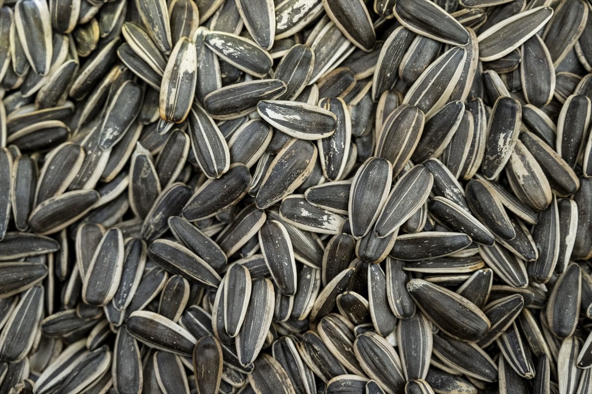 Ramazan’da kuruyemiş tüketmenin faydaları