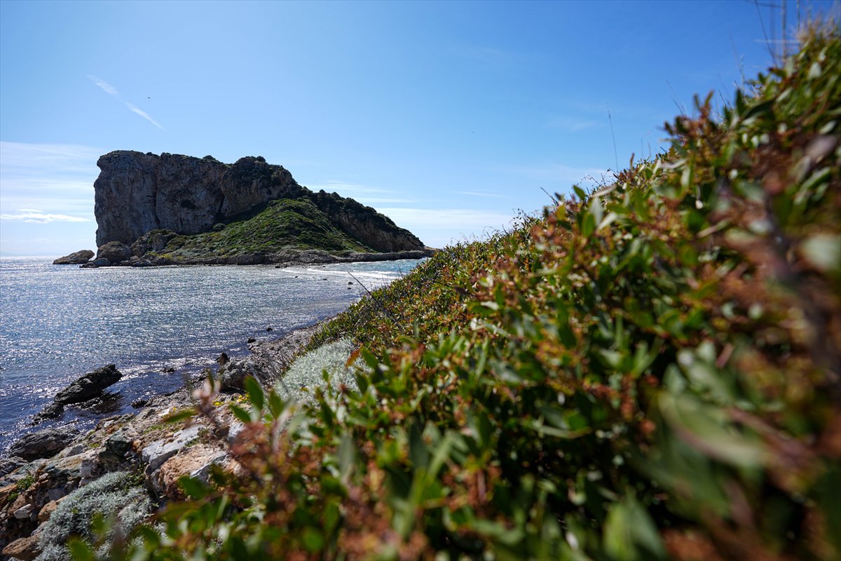 Çıfıt Adası'na yürünerek ulaşılıyor