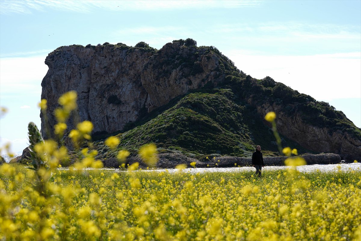 Çıfıt Adası'na yürünerek ulaşılıyor