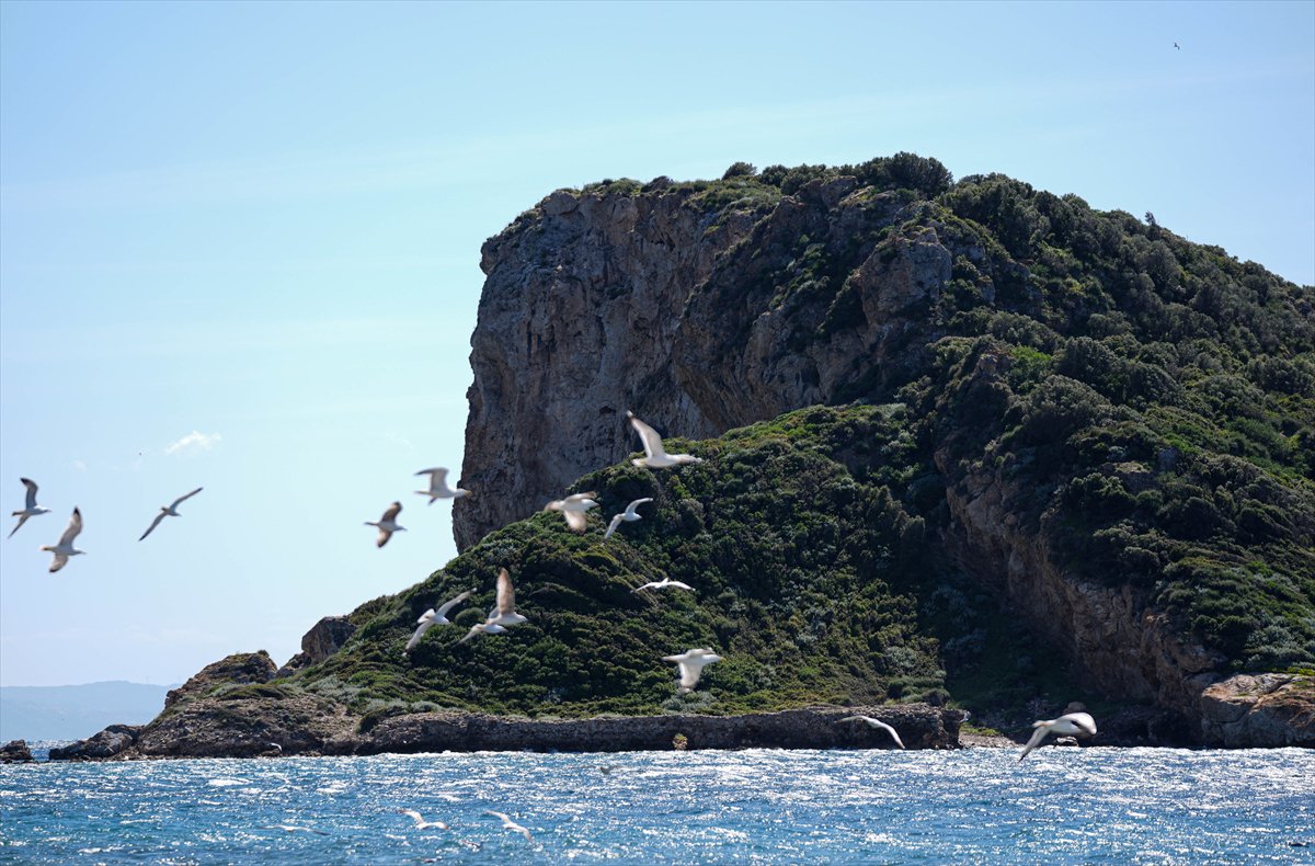 Çıfıt Adası'na yürünerek ulaşılıyor
