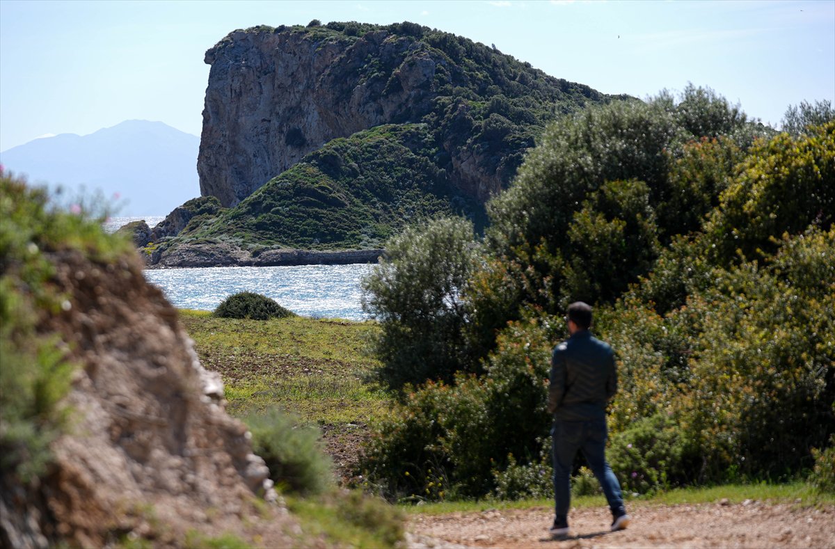 Çıfıt Adası'na yürünerek ulaşılıyor