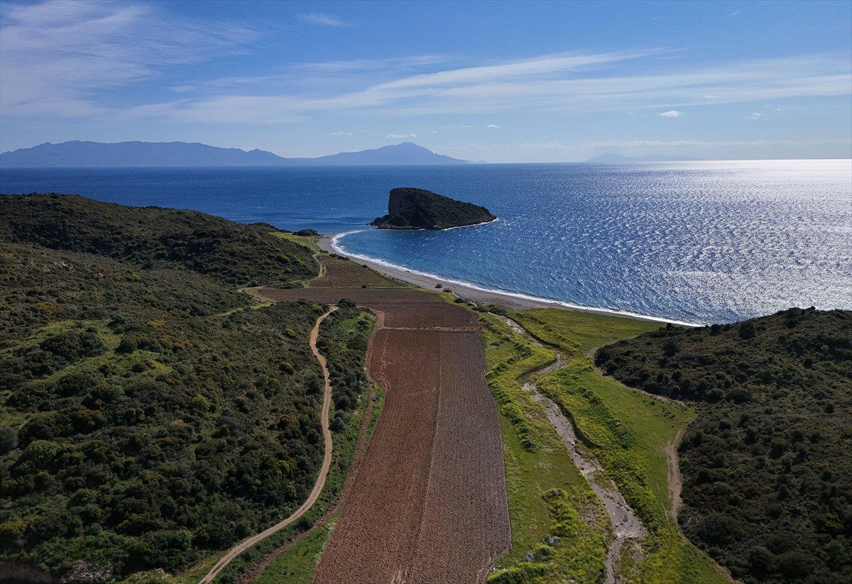 Çıfıt Adası'na yürünerek ulaşılıyor