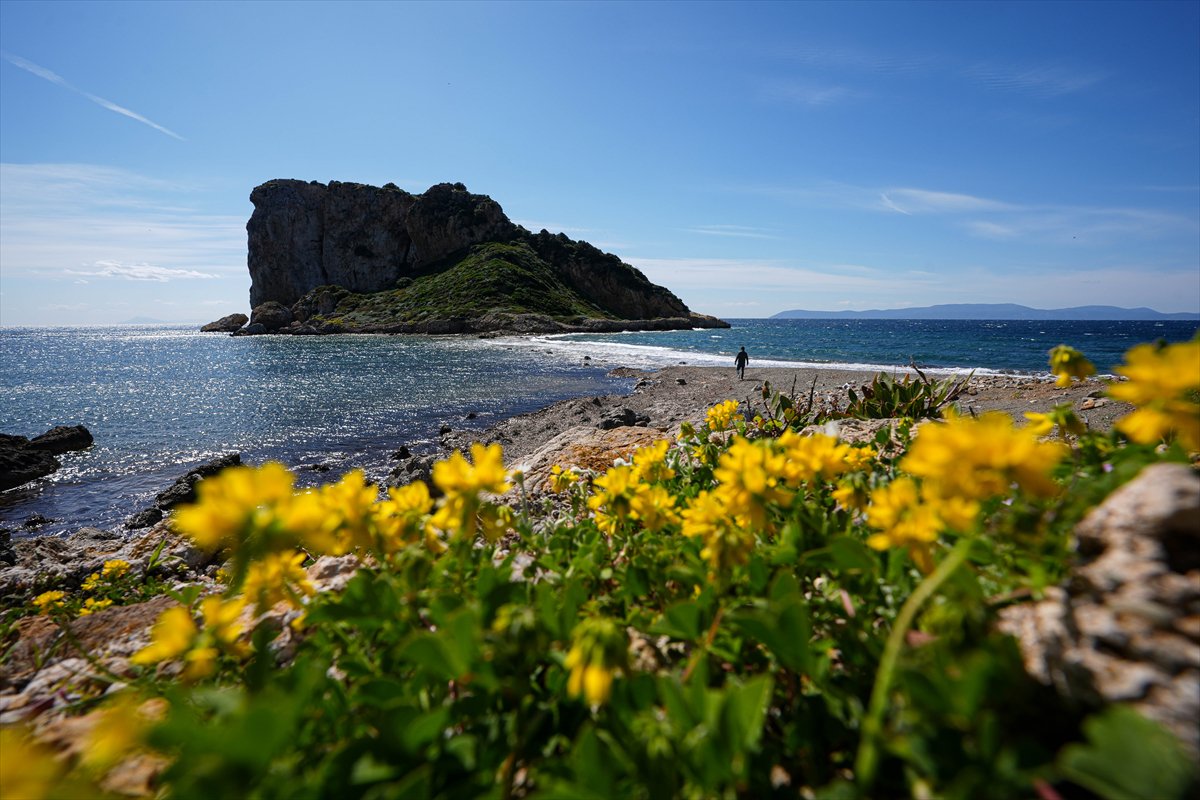 Çıfıt Adası'na yürünerek ulaşılıyor