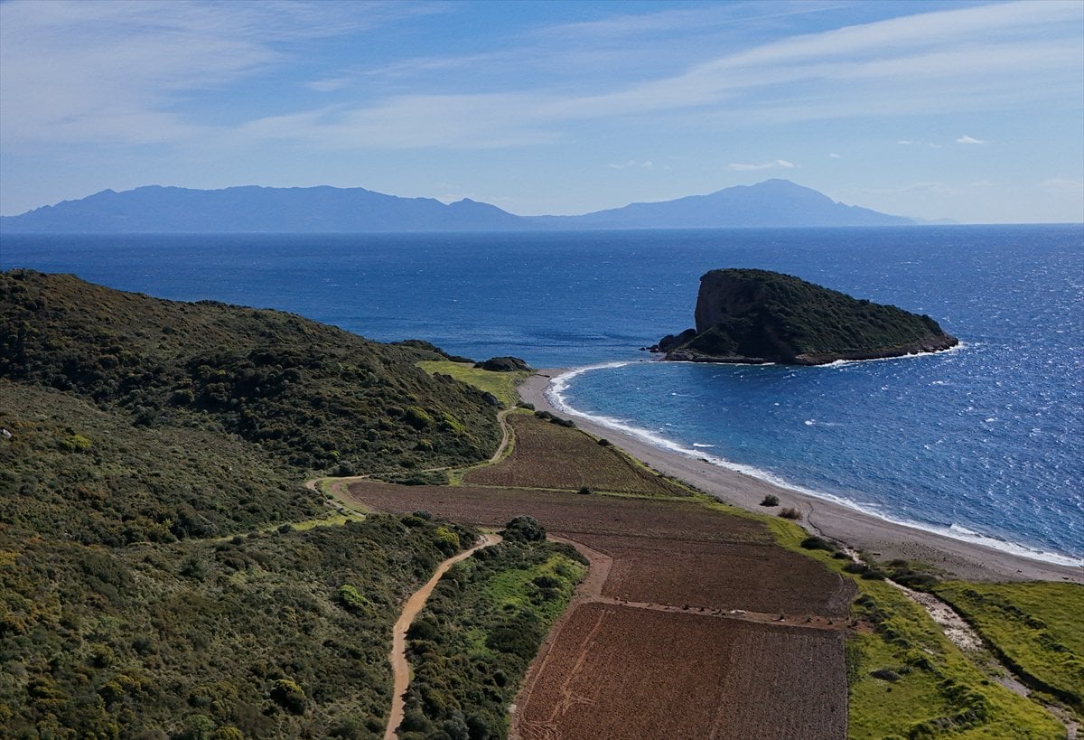 Çıfıt Adası'na yürünerek ulaşılıyor