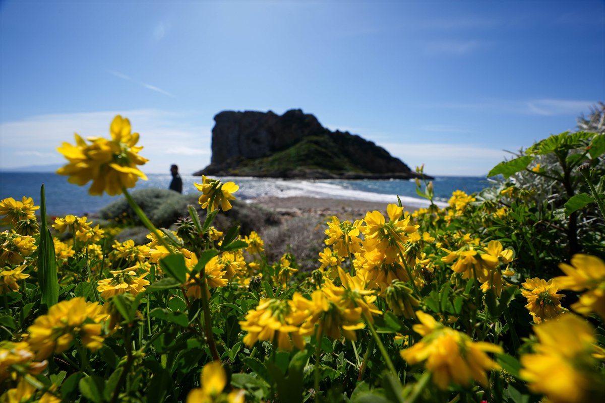 Çıfıt Adası'na yürünerek ulaşılıyor