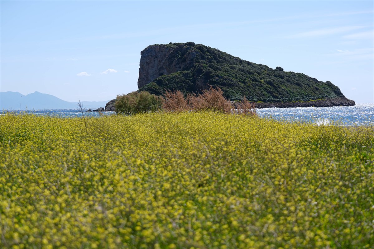 Çıfıt Adası'na yürünerek ulaşılıyor
