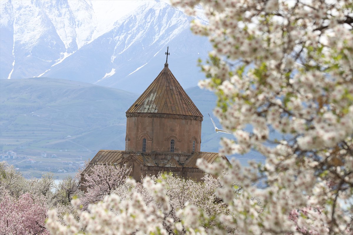 Akdamar Adası, Badem Çiçekleri Festivaliyle renkli görüntülere sahne oldu