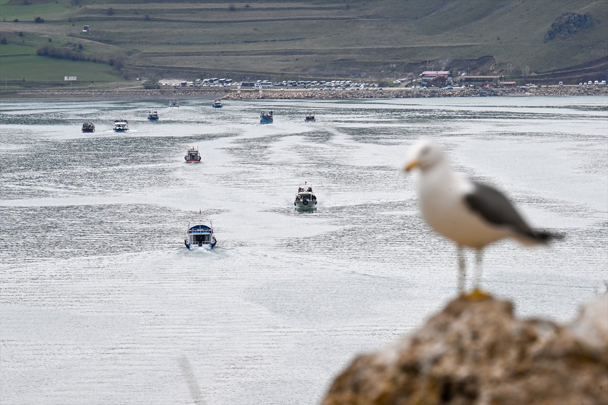 Akdamar Adası, Badem Çiçekleri Festivaliyle renkli görüntülere sahne oldu
