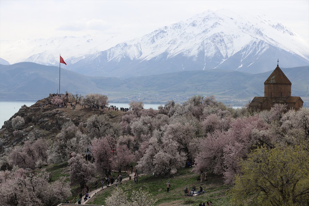 Akdamar Adası, Badem Çiçekleri Festivaliyle renkli görüntülere sahne oldu