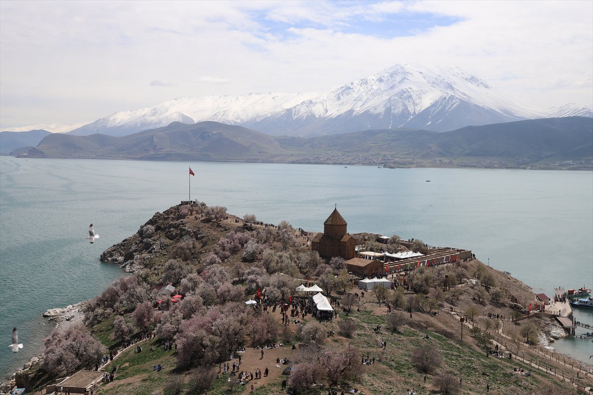 Akdamar Adası, Badem Çiçekleri Festivaliyle renkli görüntülere sahne oldu