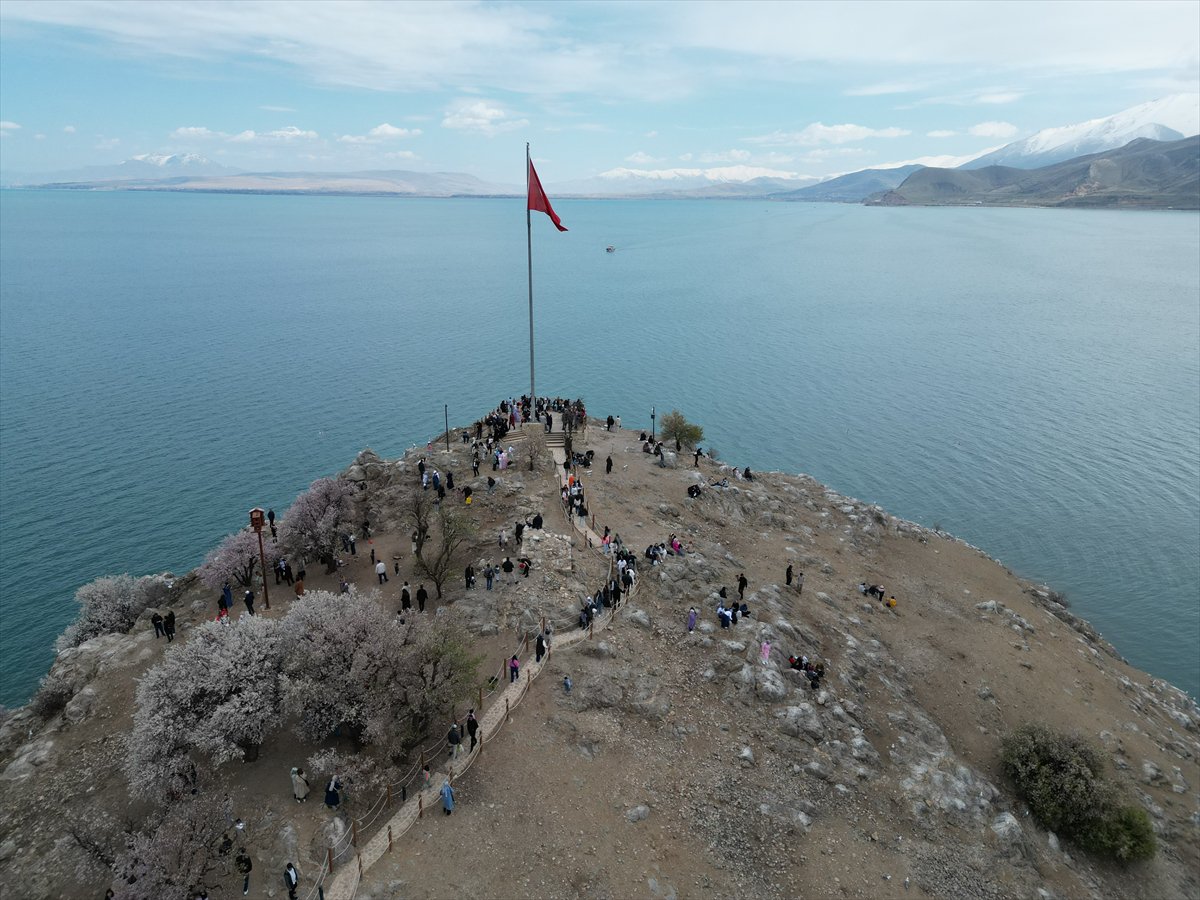 Akdamar Adası, Badem Çiçekleri Festivaliyle renkli görüntülere sahne oldu