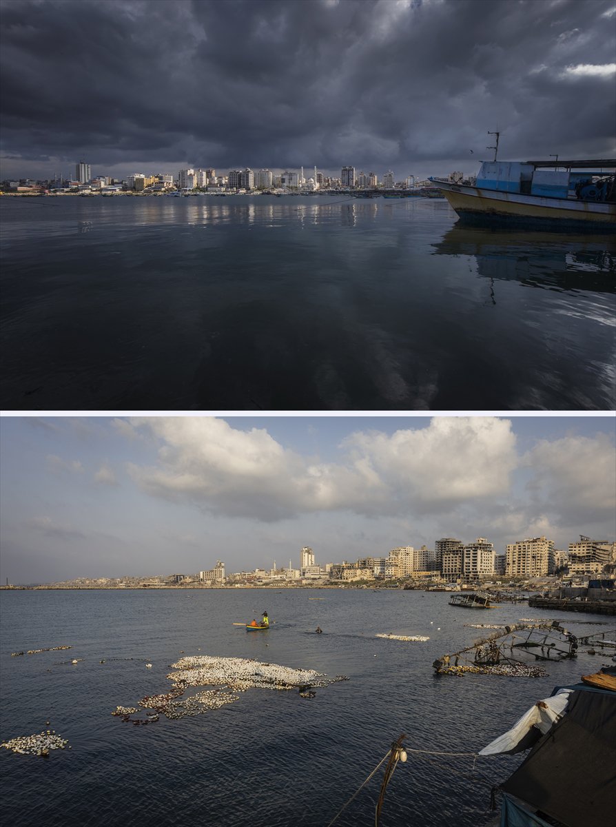 İsrail'in saldırıları Gazze'nin doğal güzelliklerini yok ediyor
