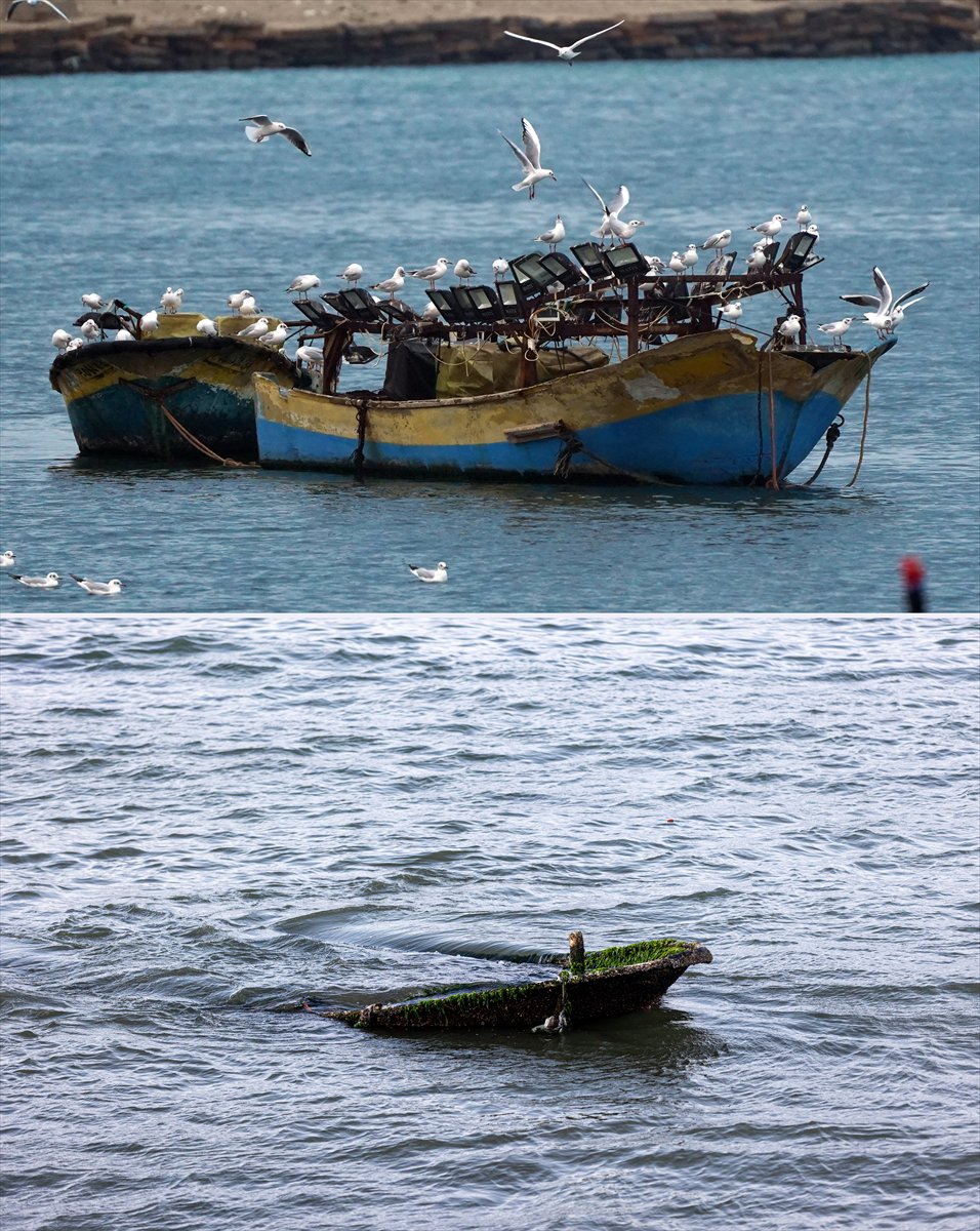 İsrail'in saldırıları Gazze'nin doğal güzelliklerini yok ediyor