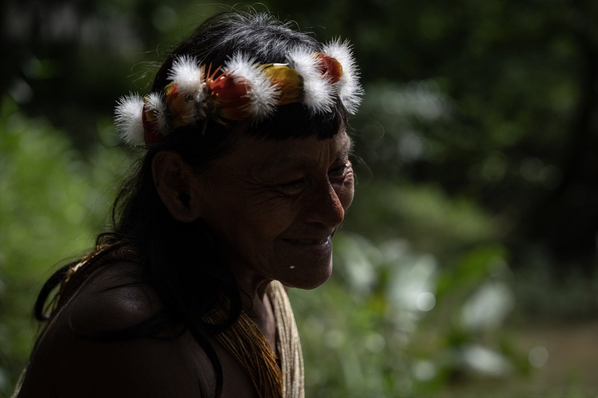 Amazon Ormanları'nın koruyucu kabilesi Waoranilerin hayat mücadelesi