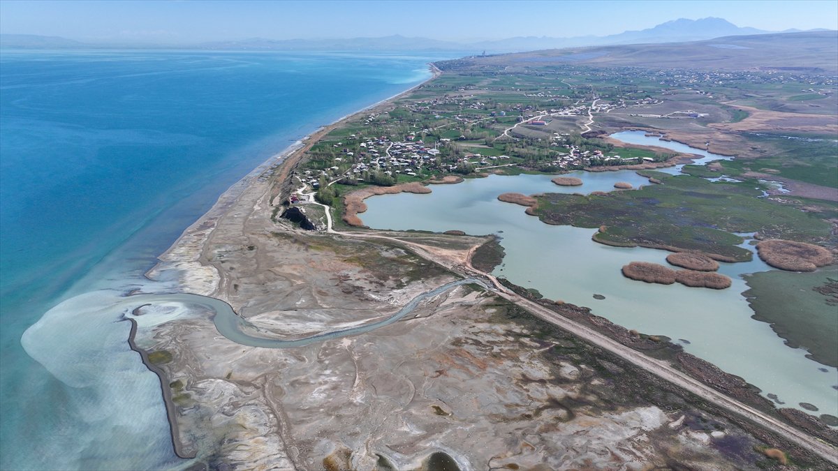 Van'daki kuş cenneti tekrar canlandı