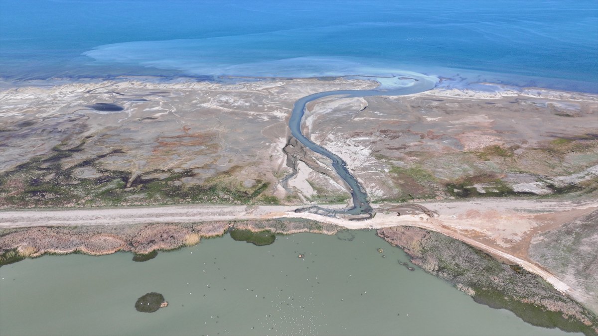 Van'daki kuş cenneti tekrar canlandı