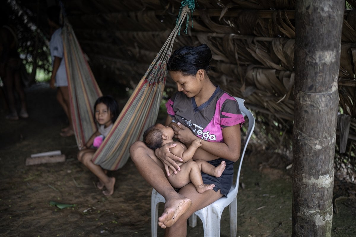 Amazon Ormanları'nın koruyucu kabilesi Waoranilerin hayat mücadelesi