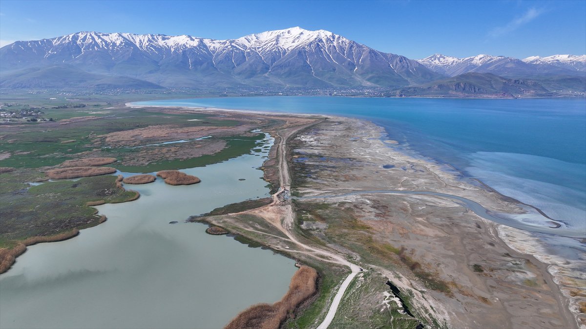 Van'daki kuş cenneti tekrar canlandı