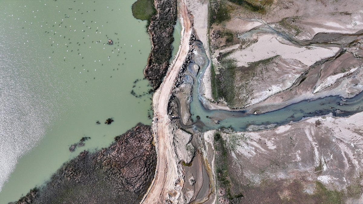 Van'daki kuş cenneti tekrar canlandı