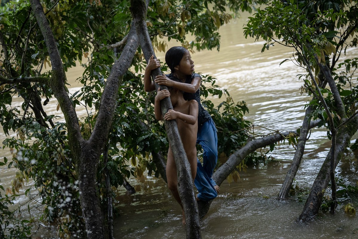 Amazon Ormanları'nın koruyucu kabilesi Waoranilerin hayat mücadelesi