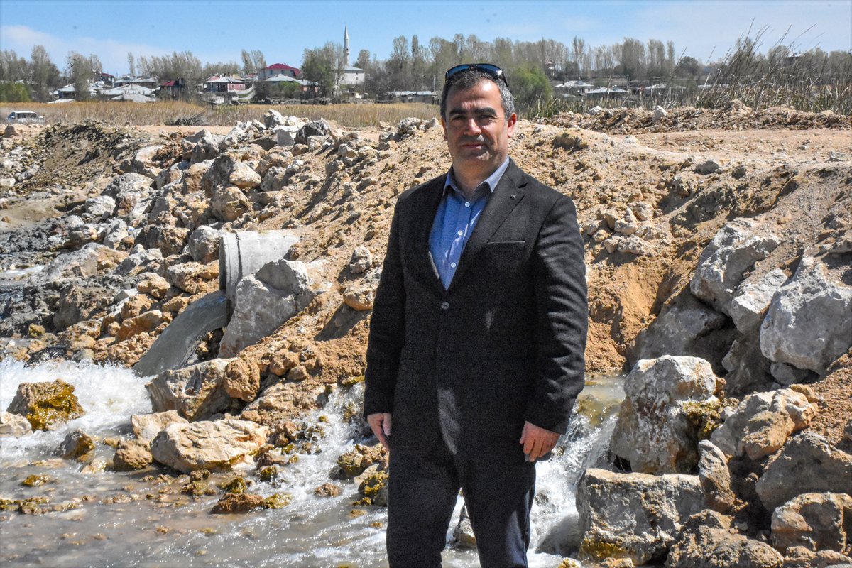 Van'daki kuş cenneti tekrar canlandı