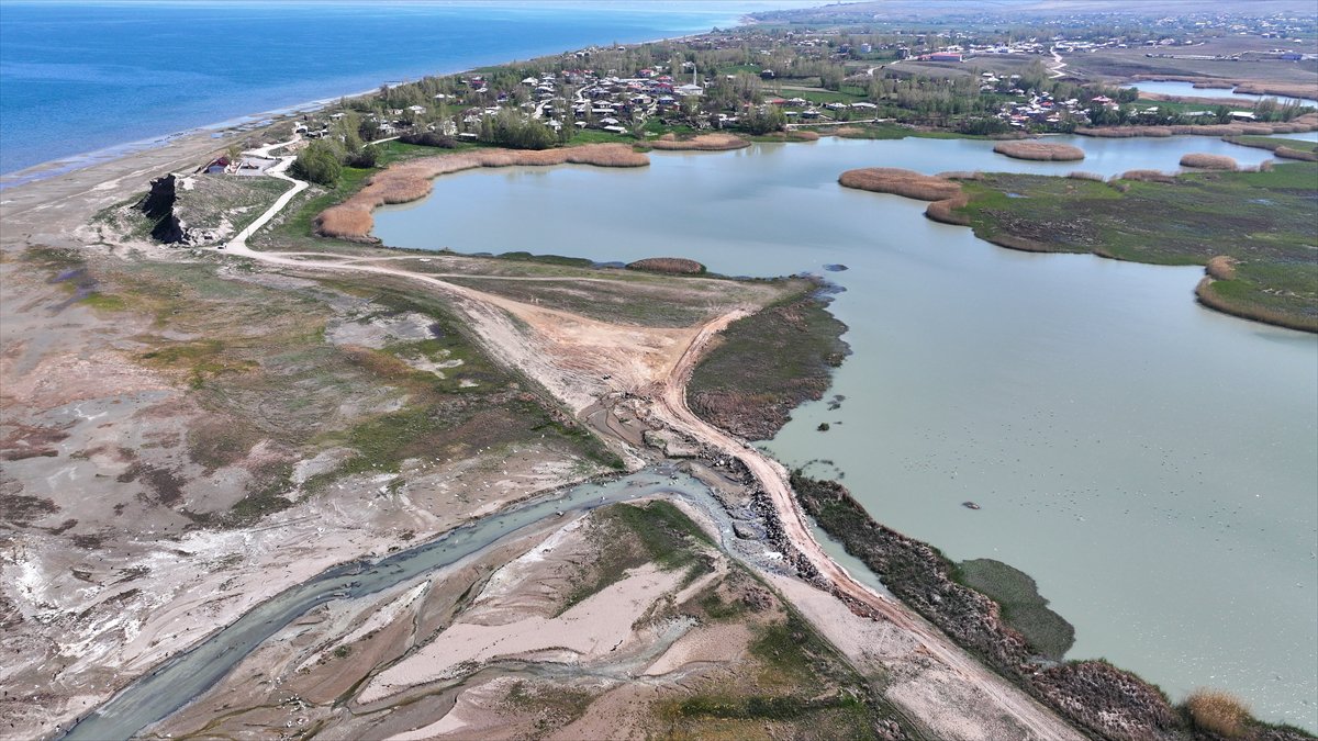 Van'daki kuş cenneti tekrar canlandı