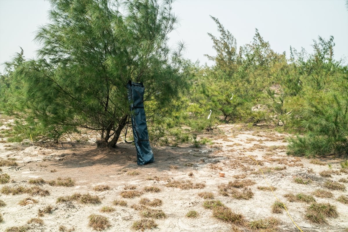 Vietnam’da, 50 yıl sonra hala savaşın izleri silinmeye çalışılıyor