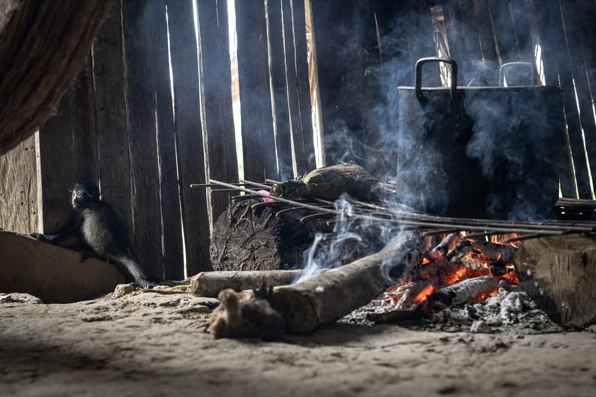 Amazon Ormanları'nın koruyucu kabilesi Waoranilerin hayat mücadelesi