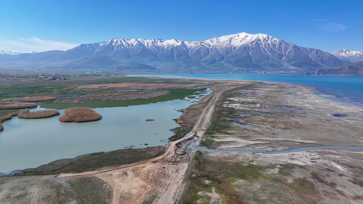 Van'daki kuş cenneti tekrar canlandı