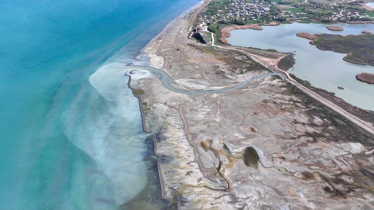 Van'daki kuş cenneti tekrar canlandı
