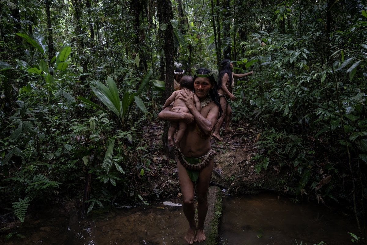 Amazon Ormanları'nın koruyucu kabilesi Waoranilerin hayat mücadelesi