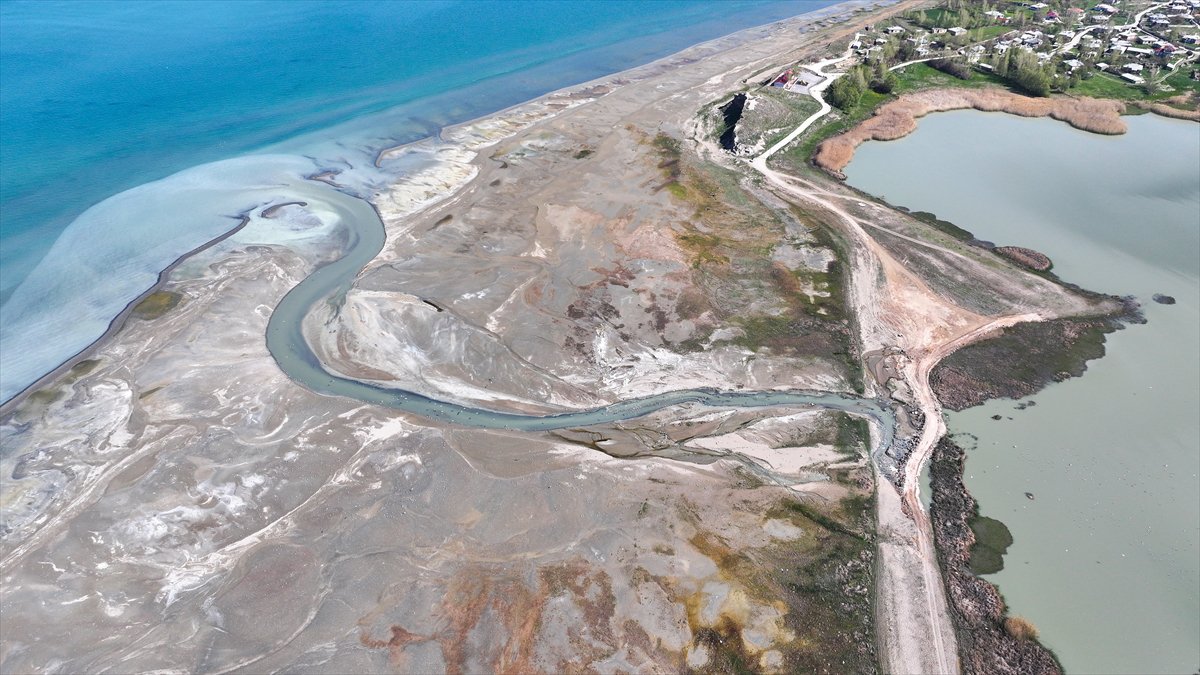 Van'daki kuş cenneti tekrar canlandı