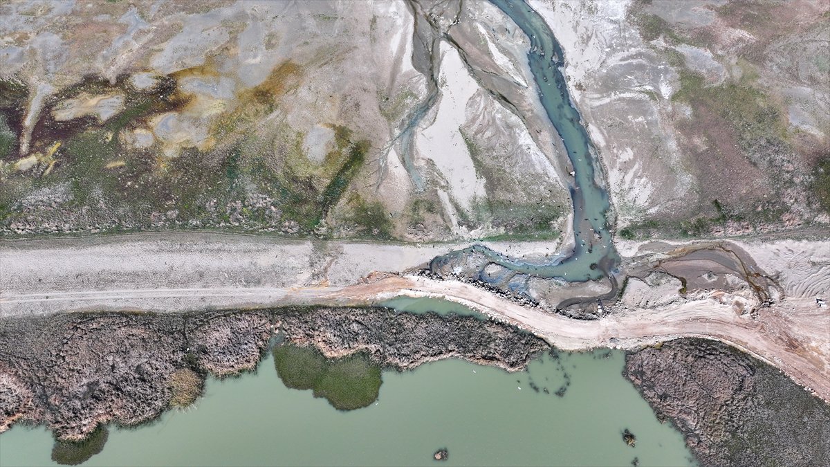 Van'daki kuş cenneti tekrar canlandı