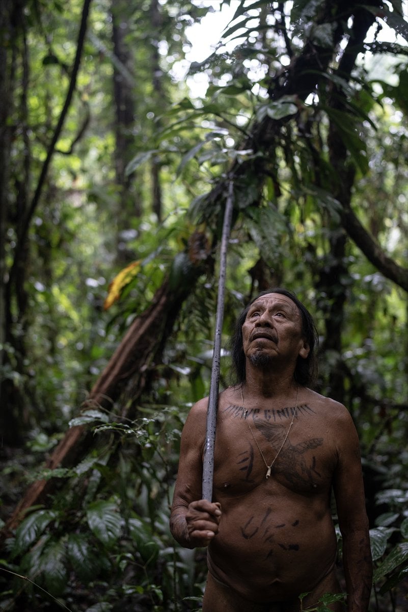 Amazon Ormanları'nın koruyucu kabilesi Waoranilerin hayat mücadelesi