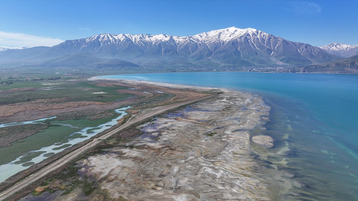 Van'daki kuş cenneti tekrar canlandı